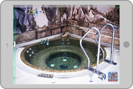 Pool Director (Elekrokholding and Limpid Pools). Russia, Krasnodar